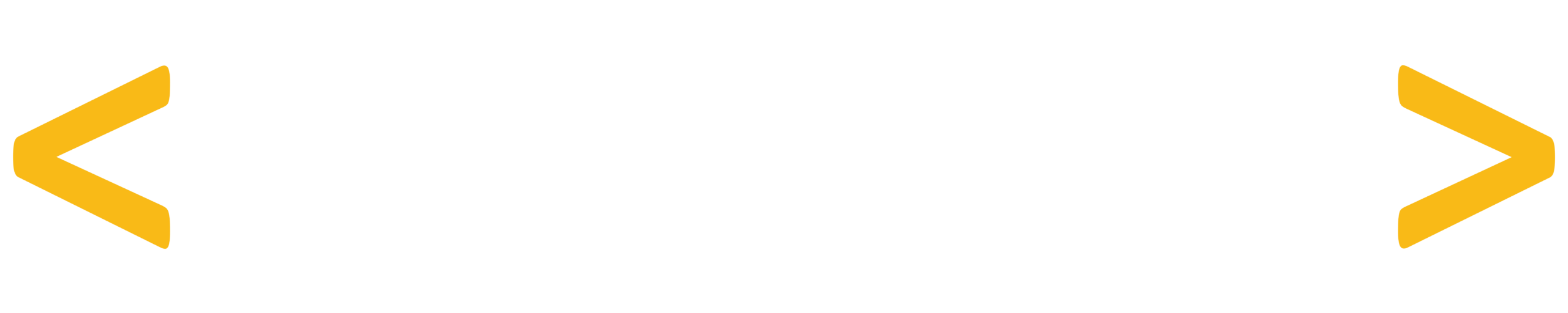 SUBTEREX Logo